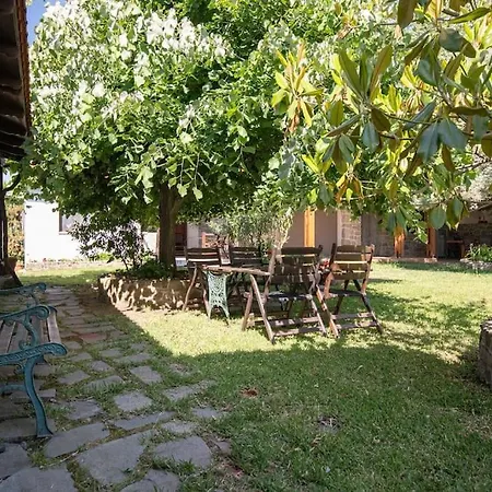 Appartamento Traditionelles Athos Shadow Am Paralia Sikias