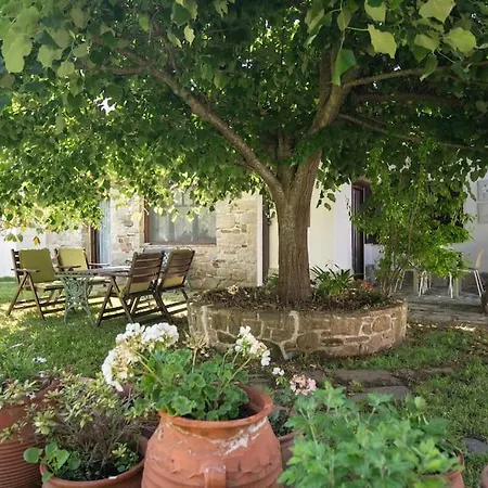 Apartamento Traditionelles Athos Shadow 2 Am Paralia Sikias