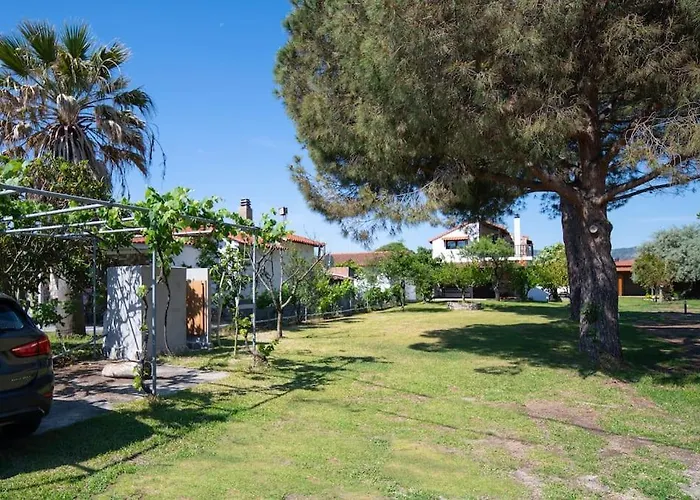 Traditionelles Athos Shadow Am * Paralia Sikias