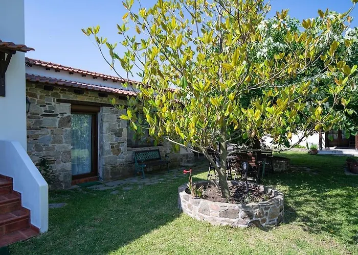 Traditionelles Athos Shadow 2 Am Paralia Sikias