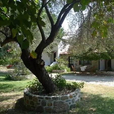 Traditionelles Athos Shadow Am *